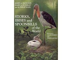 STORKS, IBISES AND SPOONBILLS OF THE WORLD