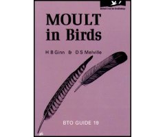 MOULT IN BIRDS