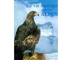 LA VIE SAUVAGE DANS LES ALPES