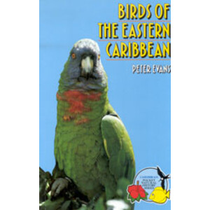 BIRDS OF THE EASTERN CARIBBEAN