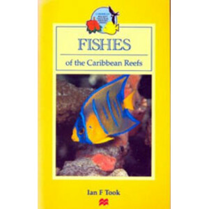 FISHES OF THE CARIBBEAN REEFS
