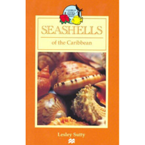 SEASHELLS OF THE CARIBBEAN