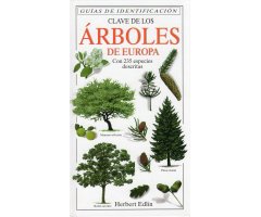 CLAVE DE LOS ÁRBOLES DE EUROPA