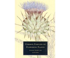 COMMON FAMILIES OF FLOWERING PLANTS