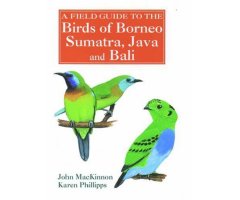A FIELD GUIDE TO THE BIRDS OF BORNEO, SUMATRA, JAVA & BALI
