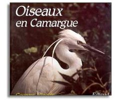 OISEAUX EN CAMARGUE