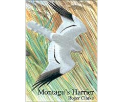 MONTAGU'S HARRIER