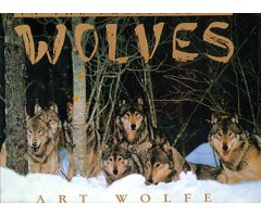 IN THE PRESENCE OF WOLVES