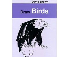 DRAW BIRDS