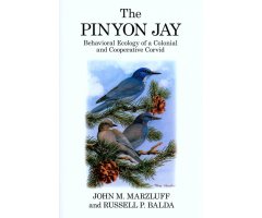 THE PINYON JAY. BEHAVIORAL ECOLOGY OF A COLONIAL AND COOPERATIVE