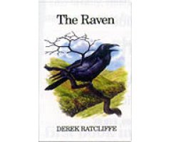 THE RAVEN. A NATURAL HISTORY IN BRITAIN AND IRELAND