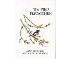 THE PIED FLYCATCHER