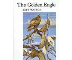 THE GOLDEN EAGLE