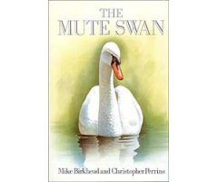 THE MUTE SWAN