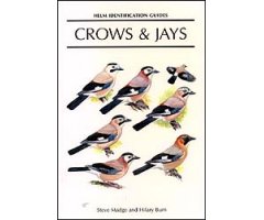 HELM IDENTIFICATION GUIDES. CROWS & JAYS                                                                                                