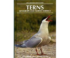 HELM IDENTIFICATION GUIDES. TERNS OF EUROPE AND NORTH AMERICA                                                                                         