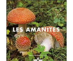 LES AMANITES                                                                                                                                          