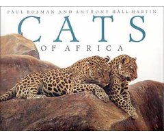 CATS OF AFRICA                                                                                                                                        