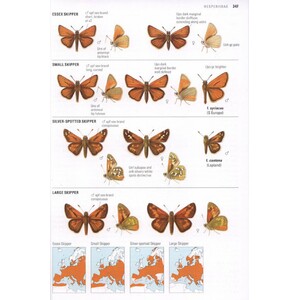 COLLINS BUTTERFLY GUIDE. THE MOST COMPLETE GUIDE TO THE BUTTERFLIES OF BRITAIN AND EUROPE 4