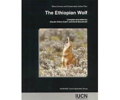 THE ETHIOPIAN WOLF                                                                                                                                    