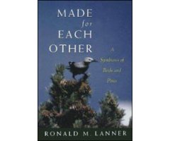 MADE FOR EACH OTHER. A SYMBIOSIS OF BIRDS AND PINES                                                                                                   