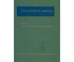 FLORA OF NORTH AMERICA,  VOL.3. MAGNOLIOPHYTA: MAGNOLIDAE AND HAMAMELIDAE