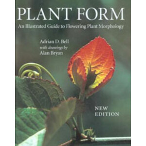 PLANT FORM. AN ILLUSTRATED GUIDE TO FLOWERING PLANT MORPHOLOGY