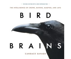 BIRD BRAINS. THE INTELLIGENCE OF CROWS, RAVENS, MAGPIES AND JAYS                                                                                      