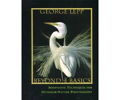 BEYOND THE BASICS. INNOVATIVE TECHNIQUES FOR OUTDOOR/NATURE PHOTOGRAPHY