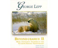 BEYOND THE BASICS II. MORE INNOVATIVE TECHNIQUES FOR OUTDOOR/NATURE PHOTOGRAPHY