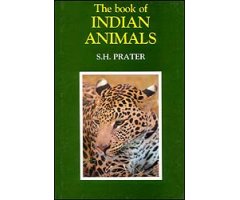 THE BOOK OF INDIAN ANIMALS