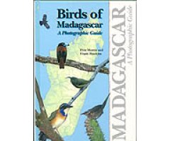 BIRDS OF MADAGASCAR. A PHOTOGRAPHIC GUIDE