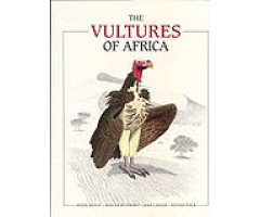 THE VULTURES OF AFRICA