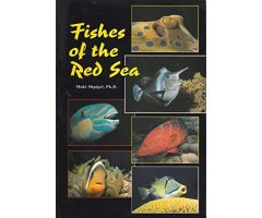 FISHES OF THE RED SEA                                                                                                                                 