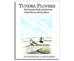 TUNDRA PLOVERS. THE GREY PLOVER AND EURASIAN, AMERICAN AND PACIFIC GOLDEN PLOVERS