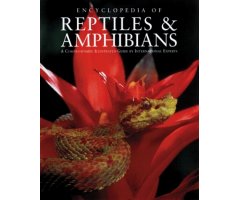 ENCYCLOPEDIA OF REPTILES AND AMPHIBIANS. A COMPREHENSIVE ILLUSTRATED GUIDE BY INTERNATIONAL EXPERTS                                                   