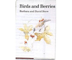 BIRDS AND BERRIES