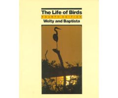 THE LIFE OF BIRDS