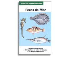 GUÍAS DE NATURALEZA BLUME. PECES DE MAR