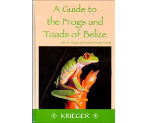 A GUIDE TO THE FROGS AND TOADS OF BELIZE
