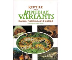 REPTILE AND AMPHIBIAN VARIANTS. COLORS, PATTERNS AND SCALES