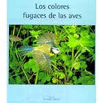 LOS COLORES FUGACES DE LAS AVES