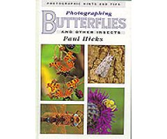 PHOTOGRAPHING BUTTERFLIES AND OTHER INSECTS