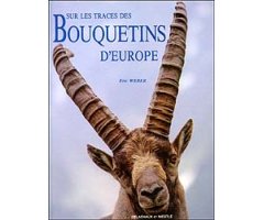SUR LES TRACES DES BOUQUETINS D'EUROPE