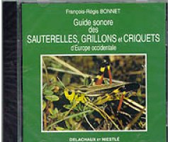 GUIDE SONORE DES SAUTERELLES, GRILLONS ET CRIQUETS D\'EUROPE OCCIDENTALE                                                                              