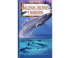 BALLENAS, DELFINES Y MARSOPAS