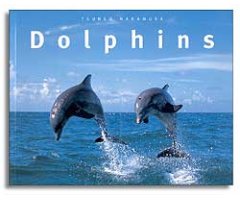 DOLPHINS