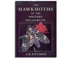 THE HAWKMOTHS OF THE WESTERN PALAEARCTIC