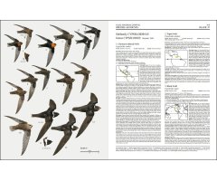 HANDBOOK OF THE BIRDS OF THE WORLD, VOL. 5. BARN-OWLS TO HUMMINGBIRDS_1