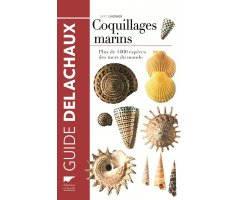 GUIDE DES COQUILLAGES MARINS. PLUS DE 1000 ESPÈCESDES MERS DU MONDE